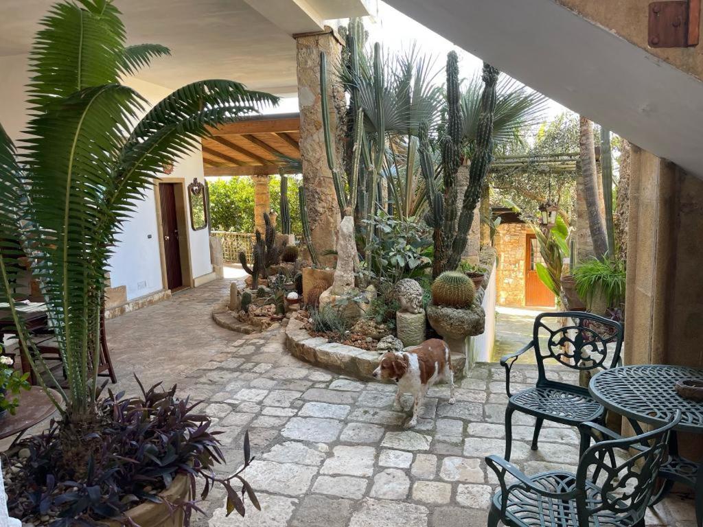 Felline In Bed&Breakfast Dimora Di Charme El Salento エクステリア 写真