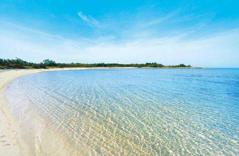 Felline In Bed&Breakfast Dimora Di Charme El Salento エクステリア 写真