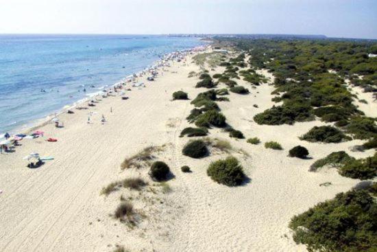 Felline In Bed&Breakfast Dimora Di Charme El Salento エクステリア 写真