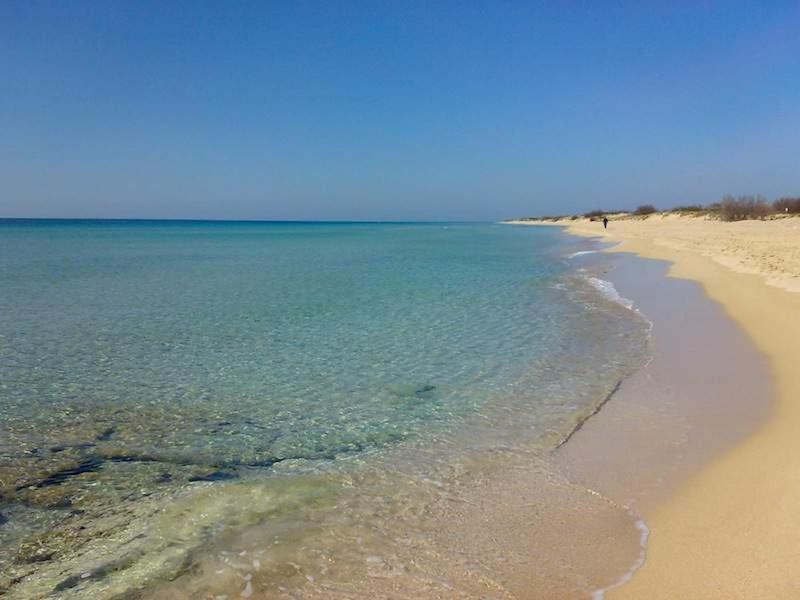 Felline In Bed&Breakfast Dimora Di Charme El Salento エクステリア 写真